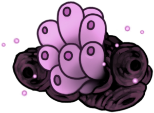 Voltvyrm